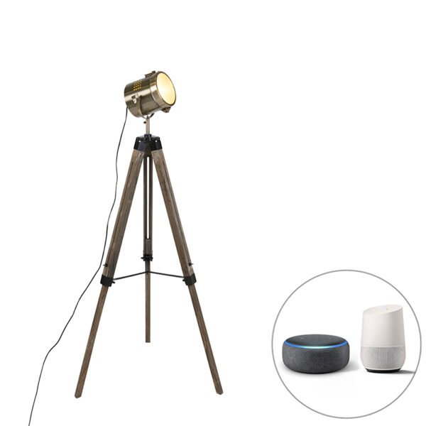 Inteligentná stojaca lampa trojnožka drevená so štúdiovým bodovým svetlom vrátane Wifi B35 - Braha