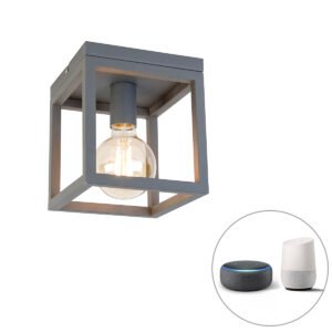 Priemyselné inteligentné stropné svietidlo tmavosivé vrátane Wifi G95 - Cage