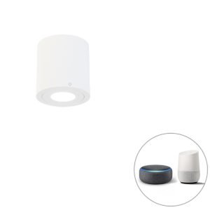 Inteligentné kúpeľňové bodové svetlo biele okrúhle IP44 vrátane Wifi GU10 - Capa