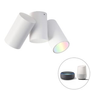 Inteligentné bodové svetlo biele nastaviteľné vrátane 2 Wifi GU10 - Michael